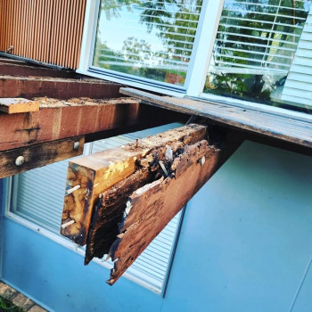 Builder Carpenter Renovations Business Home Brisbane 18